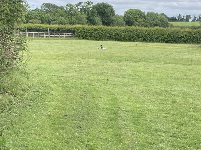 2160 7e4d3328e31dd5b3546359a9aa19b00a 1 768x576