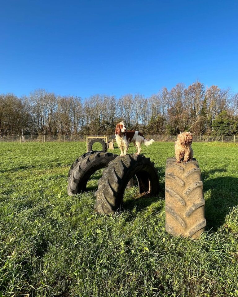 2162 d2937e1e268d150886b0a7a99b3cb793 1 768x957