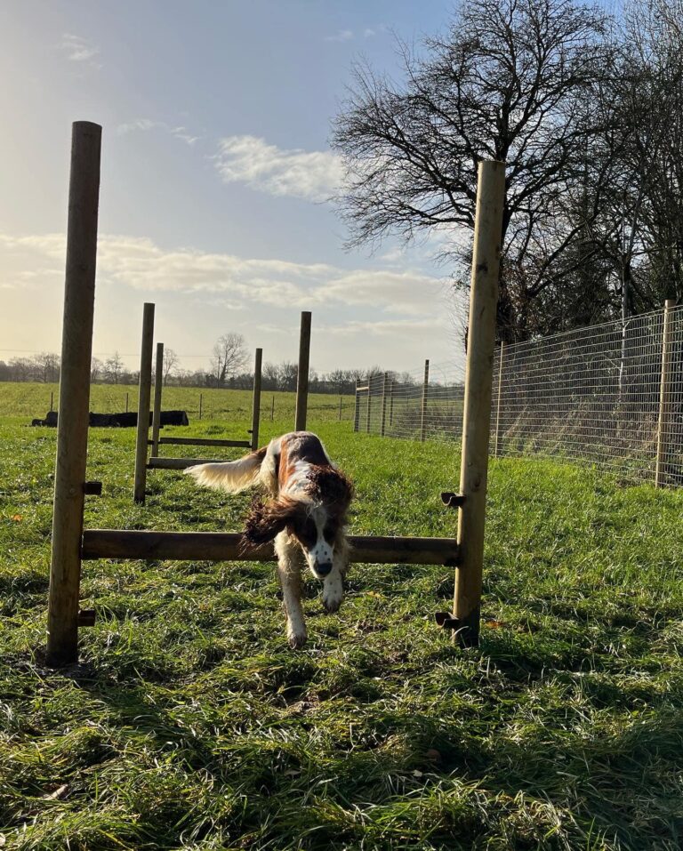 2162 d5533f74870d7fd0d848c5239264e622 1 768x957