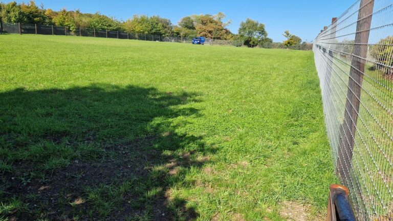 2163 05722a9ce77150914dde5a44412c60f2 1 768x432