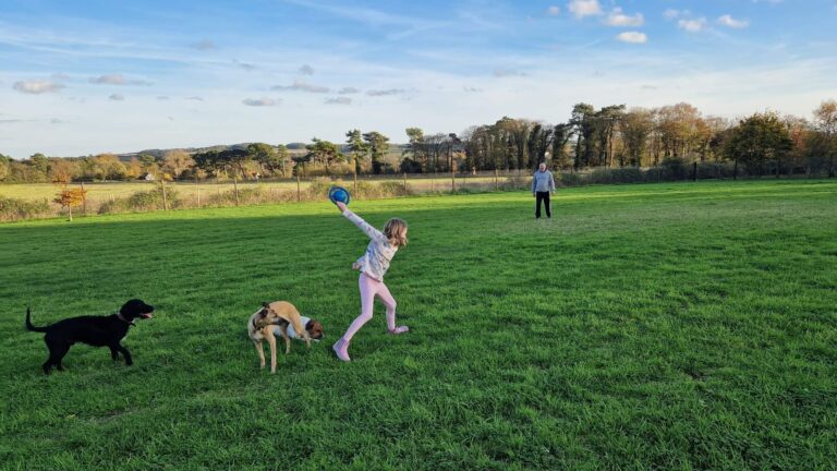 2163 22858e83a6da0ad2073e227e1c2f811f 1 768x432