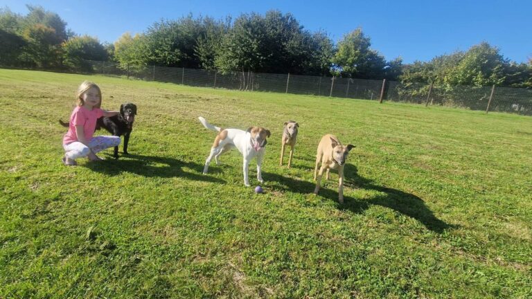 2163 2ea9e2872d5ea1309c910314669b23d2 1 768x432