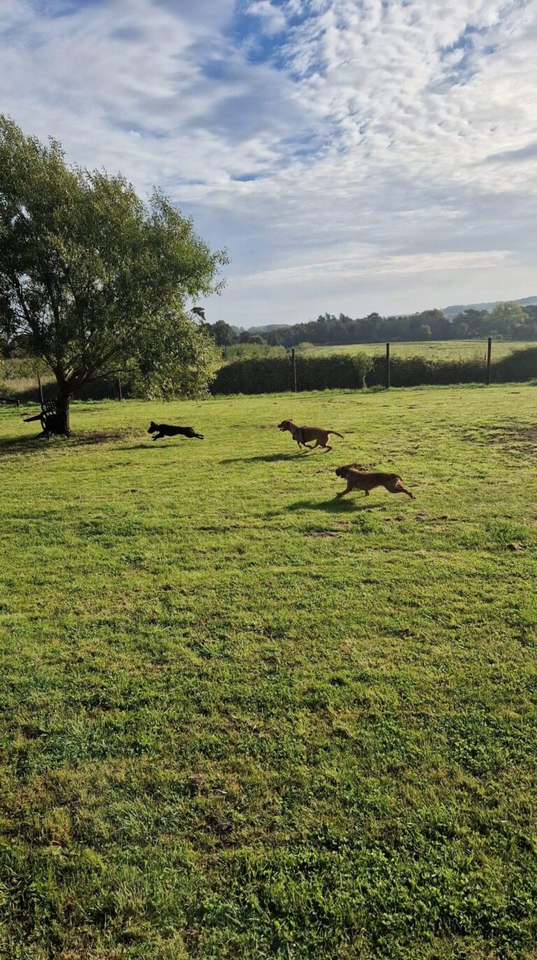 2163 5af450b2f0468fc8279584bf0d5c7c76 1 768x1371