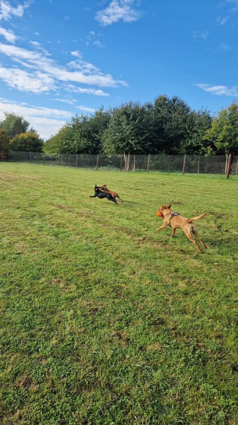 2163 ebc47e83495cc35bd5b71d12f2a1cb4a 1 768x1371