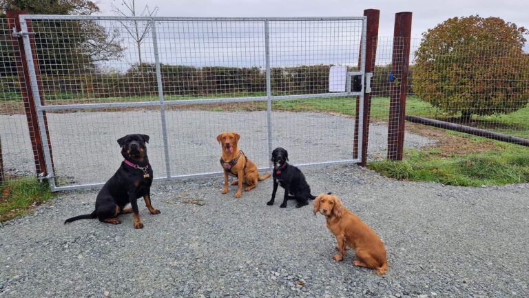 2163 f3051490c6288931e9b65594874e863c 1 768x432