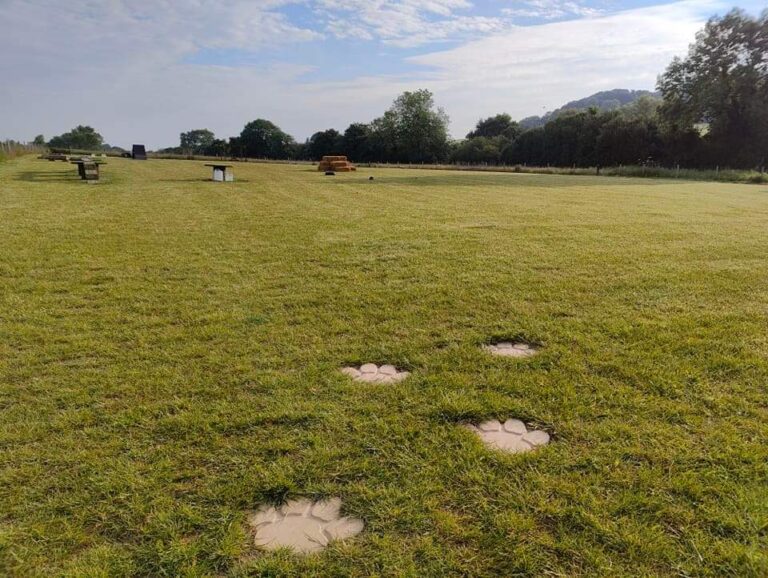 2164 d9ad92f89b60658cc0a30c4b2dfb5ac4 1 768x578