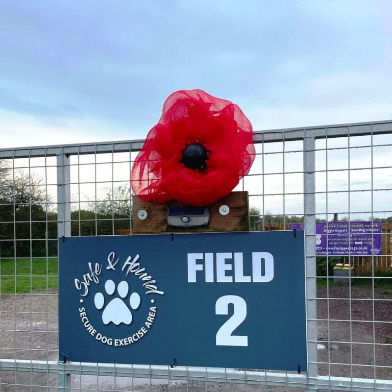 2165 7344c03f73d1d7e1eb034ac4511a8552 1 768x768