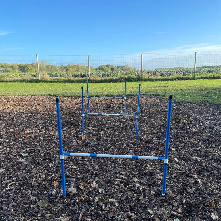 2165 89dc2c30b998b8017356f4257a65a5d3 1 768x768