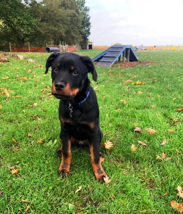 2165 91c12dbadbf87b62c415c91f4106531b 1