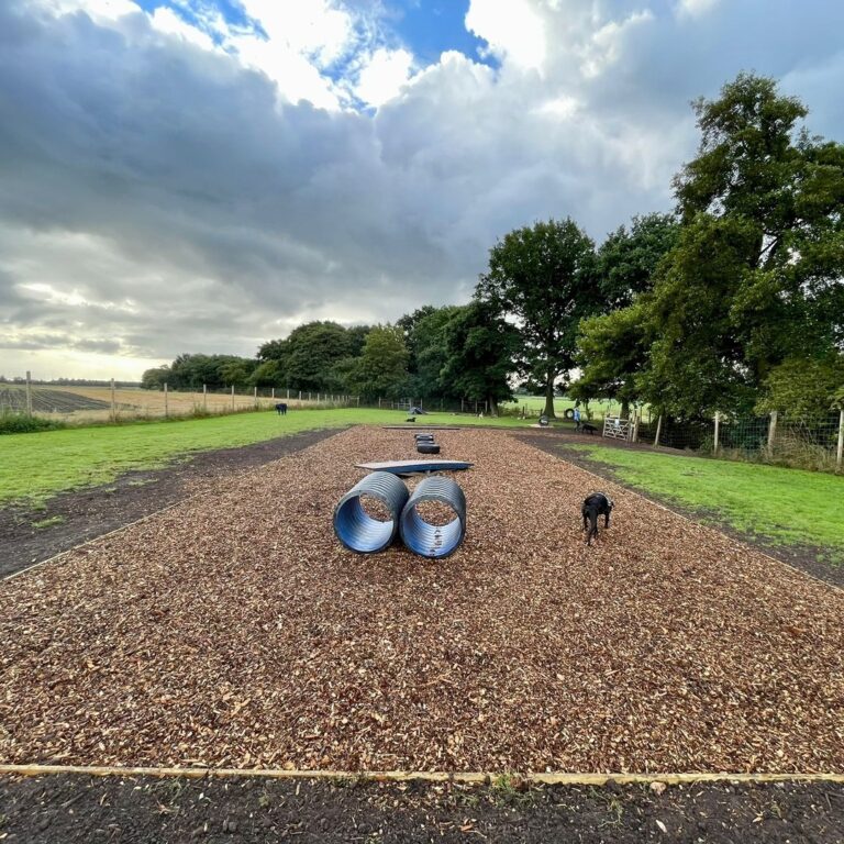 2165 ae048ffb1b19f5ddc351c6975f4aaac3 1 768x768