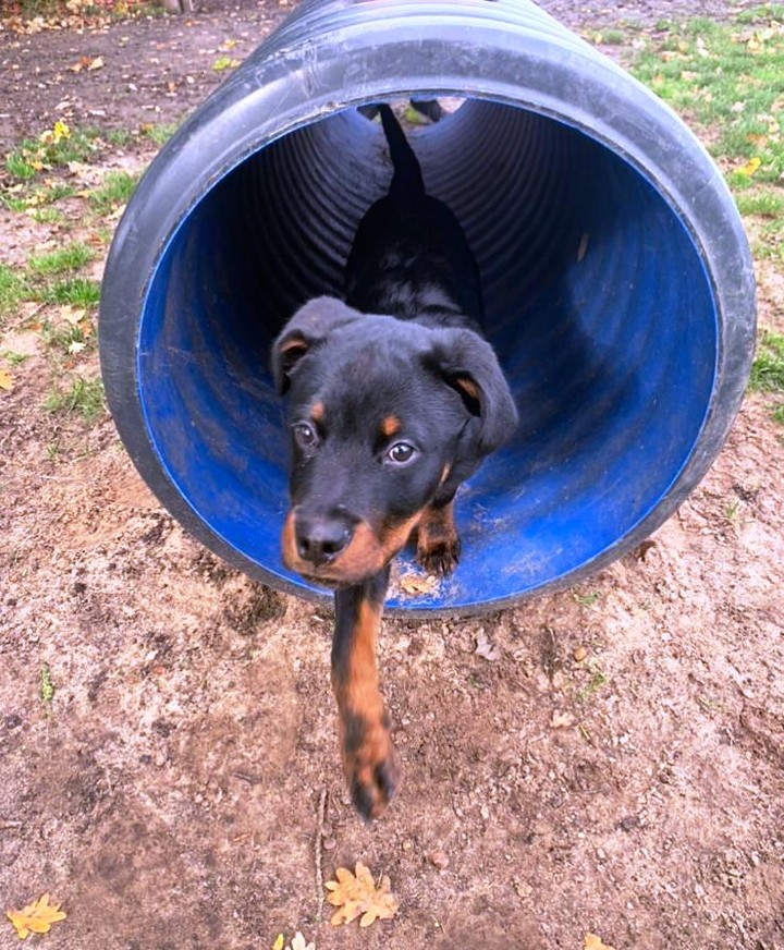 2165 bea2c1a1de8217a37d4525916d5c230b 1