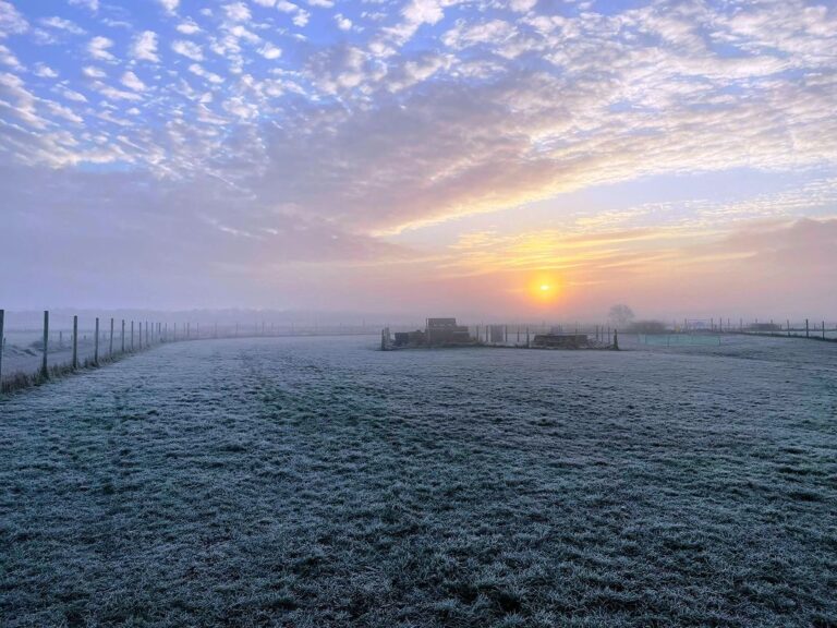 2165 e5b218fb4969b72a855fabb4198064b3 1 768x576