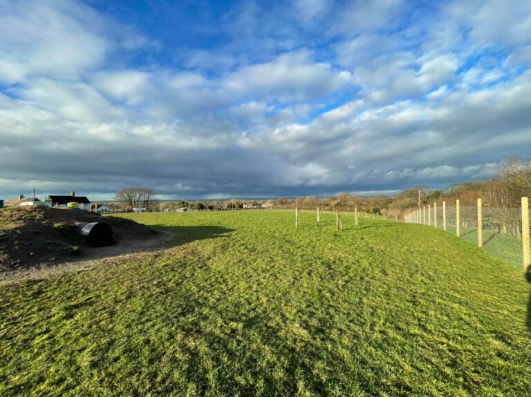 2166 00b9fcd7ca1541ff55ff375288e97c22 1 768x575