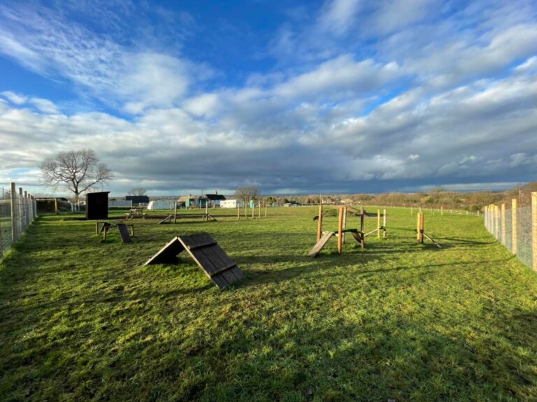 2166 231b9e235340f0dd86b4da0031c5a57e 1 768x575