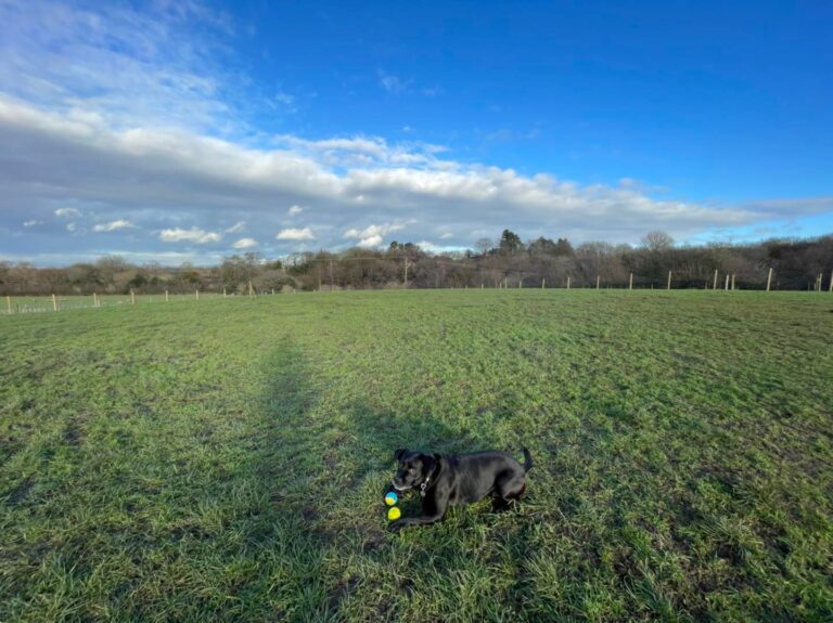 2166 6b8803a5bfec3ff6df2899e8fd52861e 1 768x575