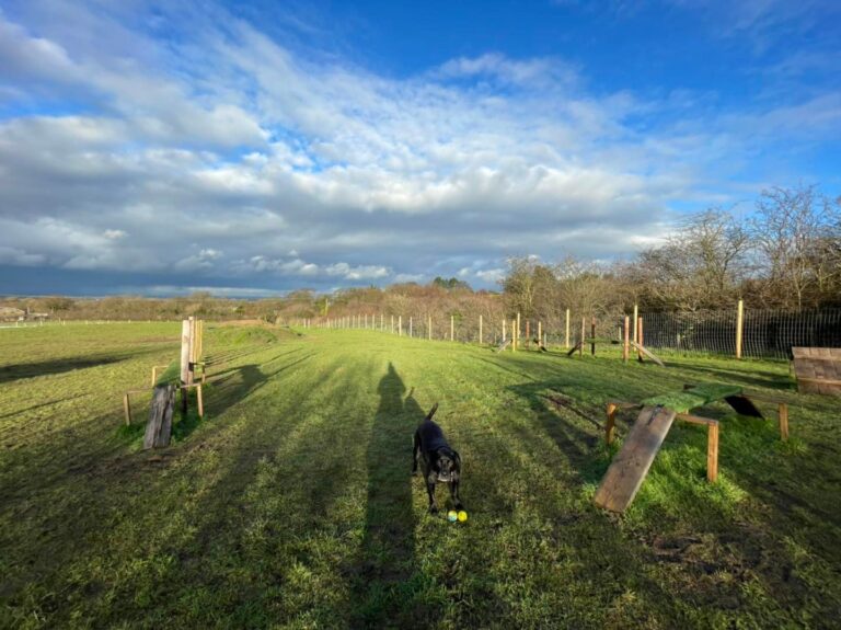 2166 7dcfe9871b9a84cc83a0fbde49c0b901 1 768x575