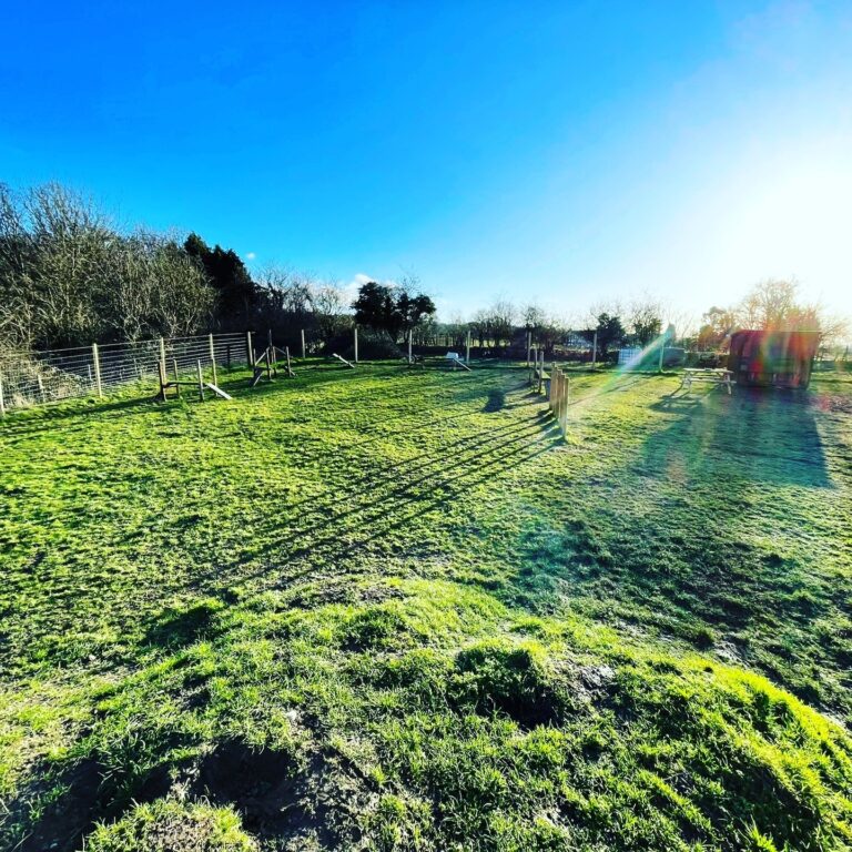 2166 cc96f12375c2e0c232041e2cfa68ba33 1 768x768