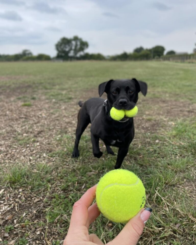 2167 51caee8a9f465dc0246b34b7f817c38c 1 768x960