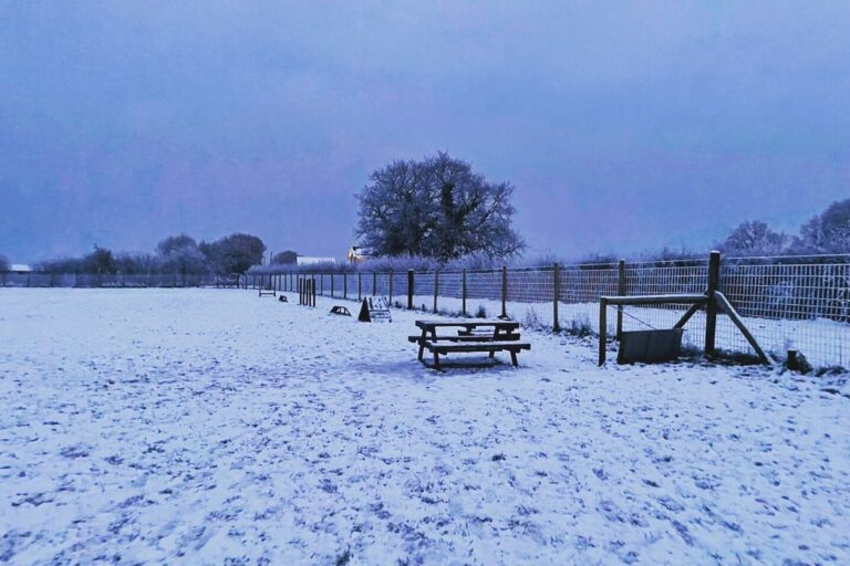 2167 cd8ebf2ade5315572e4085b71dbe44ac 1 768x512