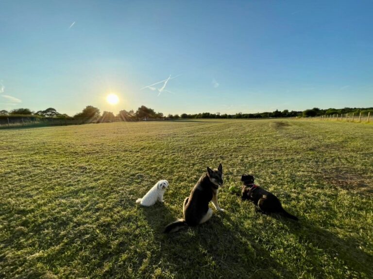 2167 db2bf51d118e7358c6e04e992e0dd34a 1 768x575