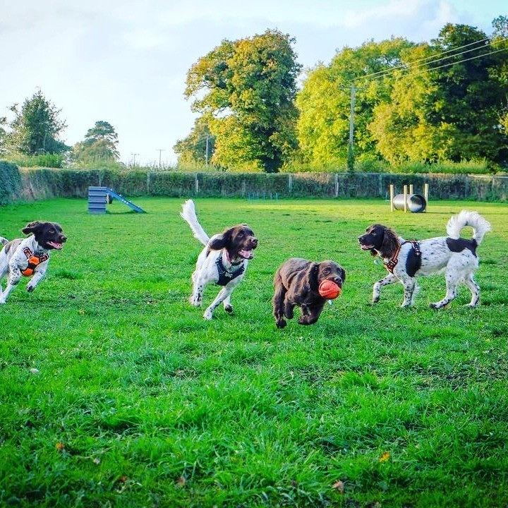 2168 0475b56ef0de8e8b06e73df66824ba86 1