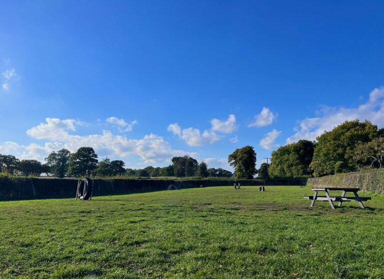 2168 0a75527e6121e5c7b4d79e0236e53136 1 768x558