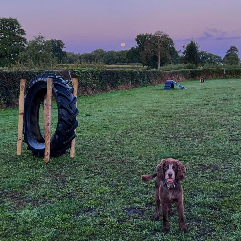 2168 2e28b1a17d5b1475d0a7fd11eae8654a 1 768x768