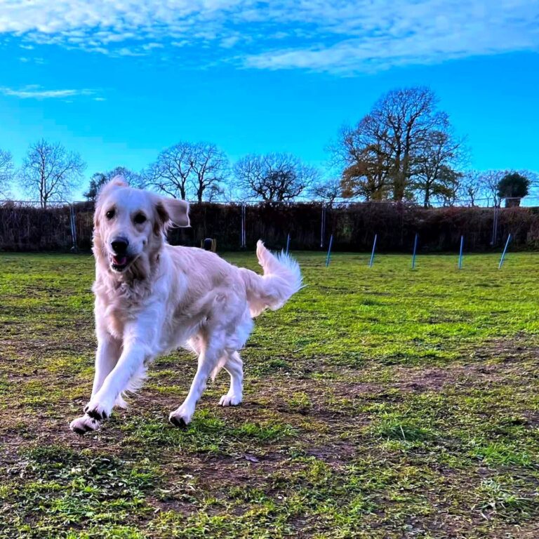 2168 4becd0fba0ec9daa98a796487e87f2dc 1 768x768