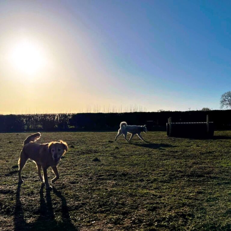 2168 9c45fc230ab212cb0cd5b17be587fed3 1 768x768