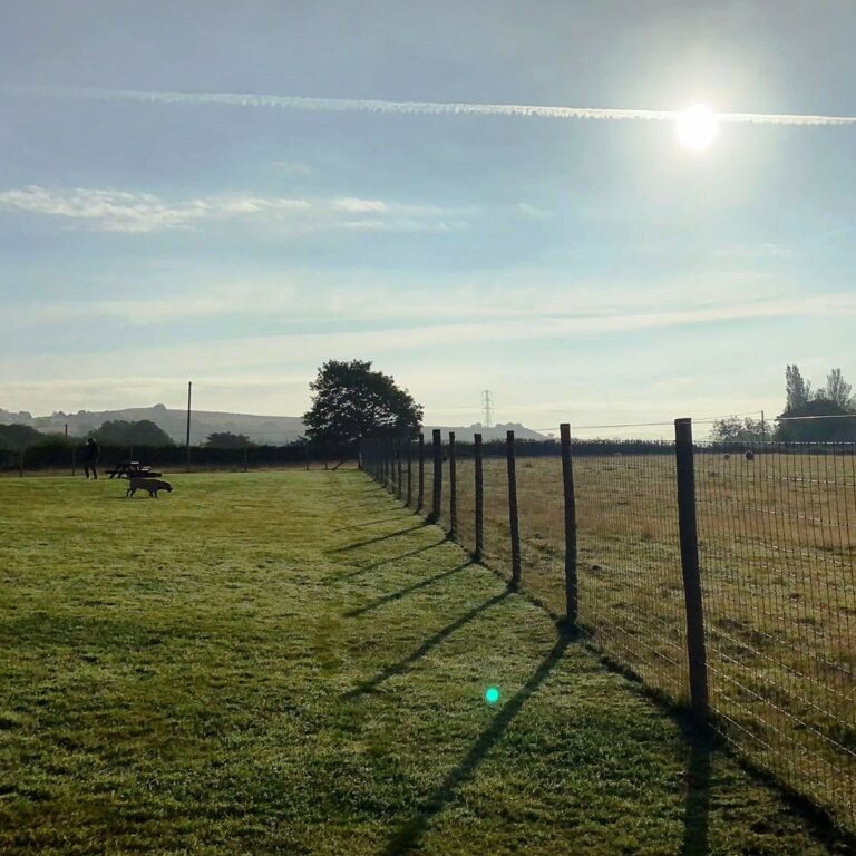 2169 02ccf45f184a97ad35c46afe824993db 1 768x768