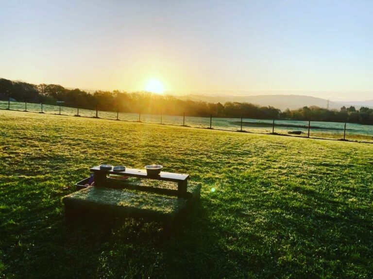 2169 270f73dfc312a9bf3f0d6e89fdc187f1 1 768x576