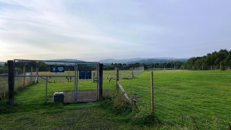 2169 92a4a6c92d0c99da2179e6e465b844b9 1 768x432