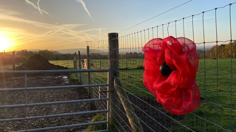 2169 c4707ab280553ae483d458d442985dc8 1 768x432