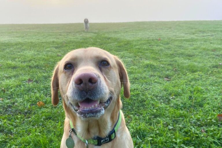 2169 d26f19ed825e9acc50695db97a9eab47 1 768x512