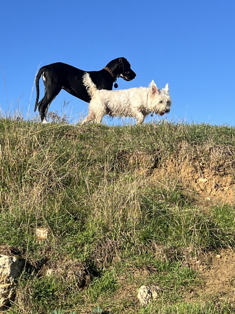 2171 25b02fd8504e1c4643e65395c467659a 1 768x1024