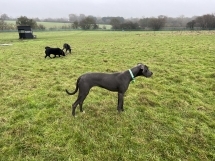 2171 3a8718d828b4b9a3987541f1da36f2aa 1