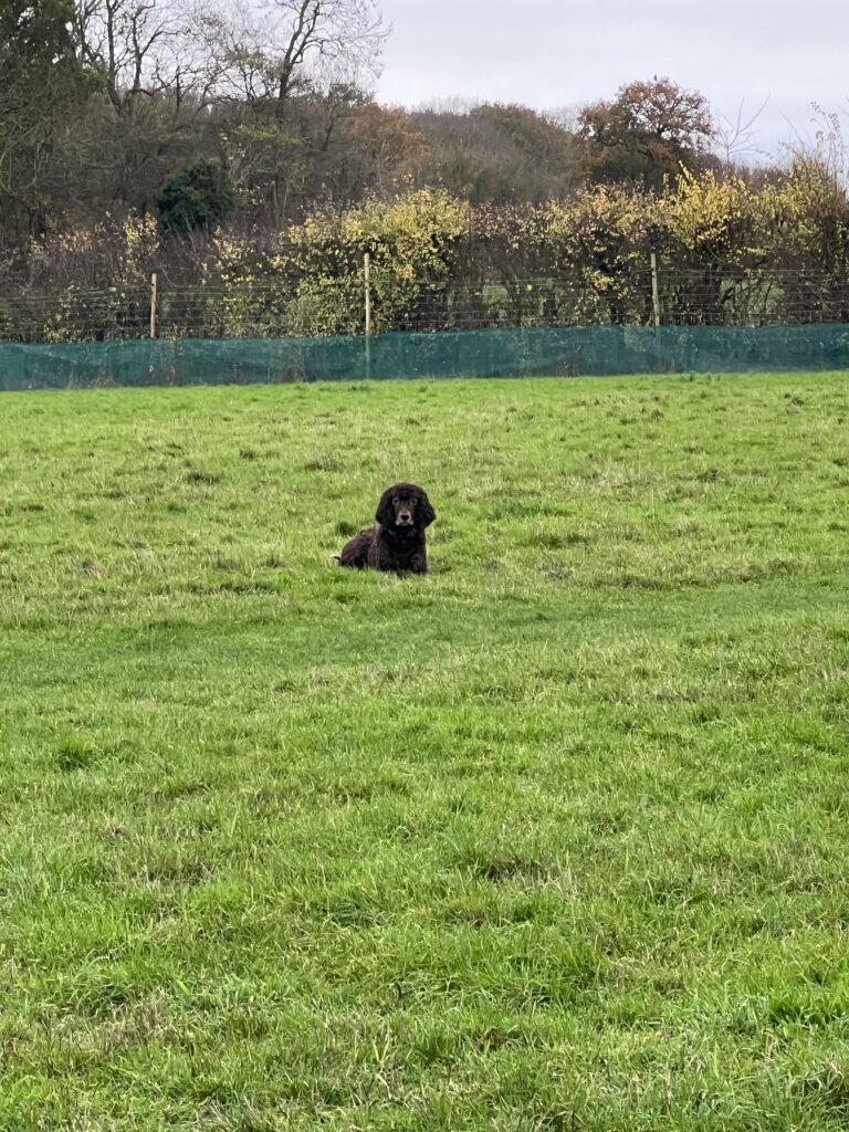 2171 dab4a76553891a3e7f7c820ed9d03053 1 768x1024