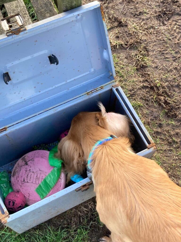 2173 4ba1cd876c3eee524bbba82ab89b907c 1 768x1024