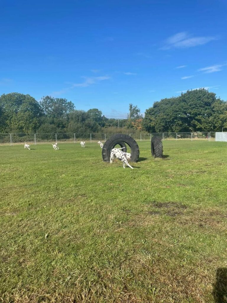 2173 5b5b813a16fcee9ad318b028174c341b 1 768x1024