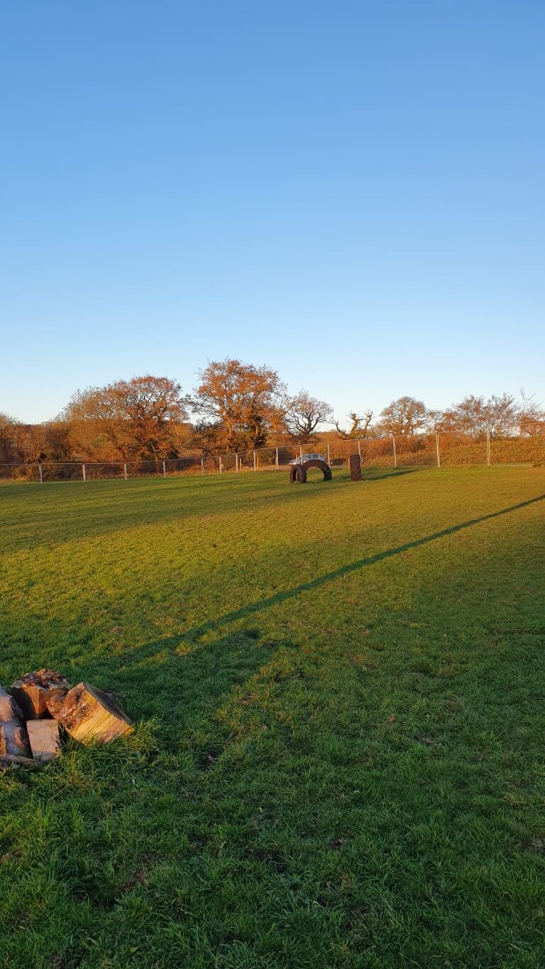 2173 630d64f070d621ff505ca3a425340233 1 768x1365