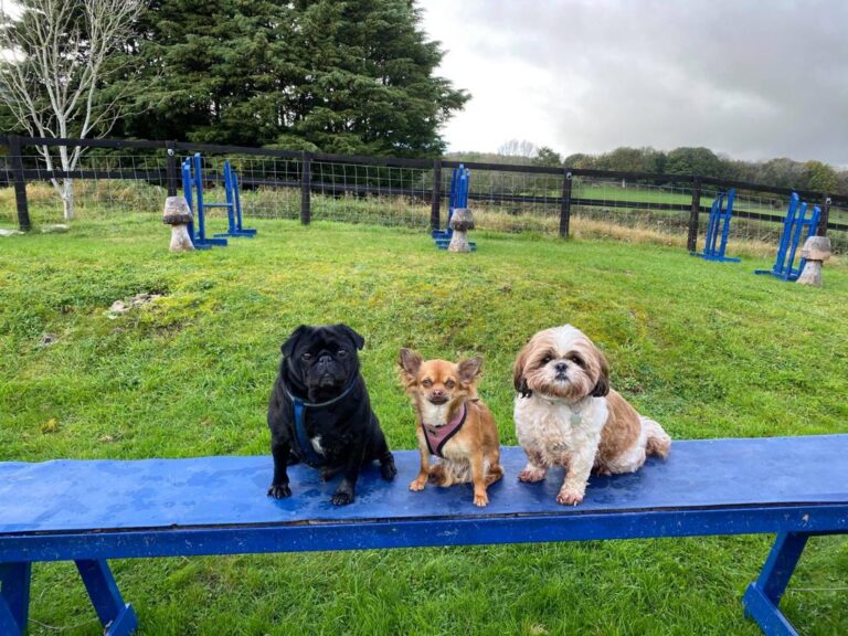 2178 3645c8e7ea6974e41102dc007d824144 1 768x576