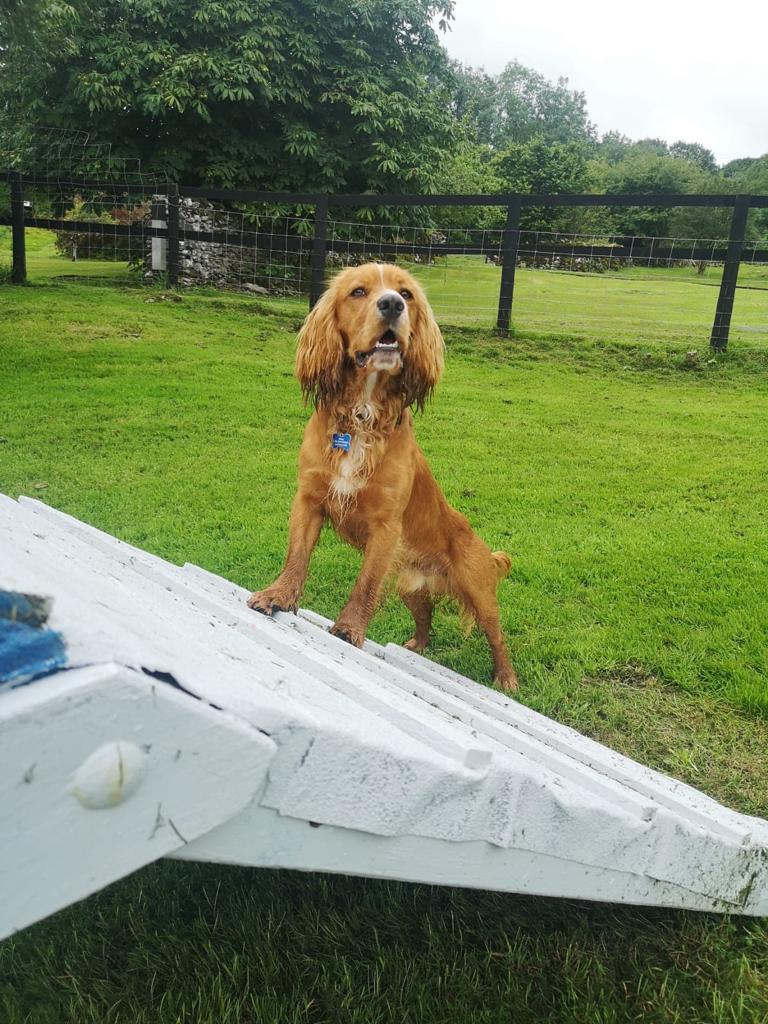 2178 463754de9ccf400837f2d25c58da153e 1