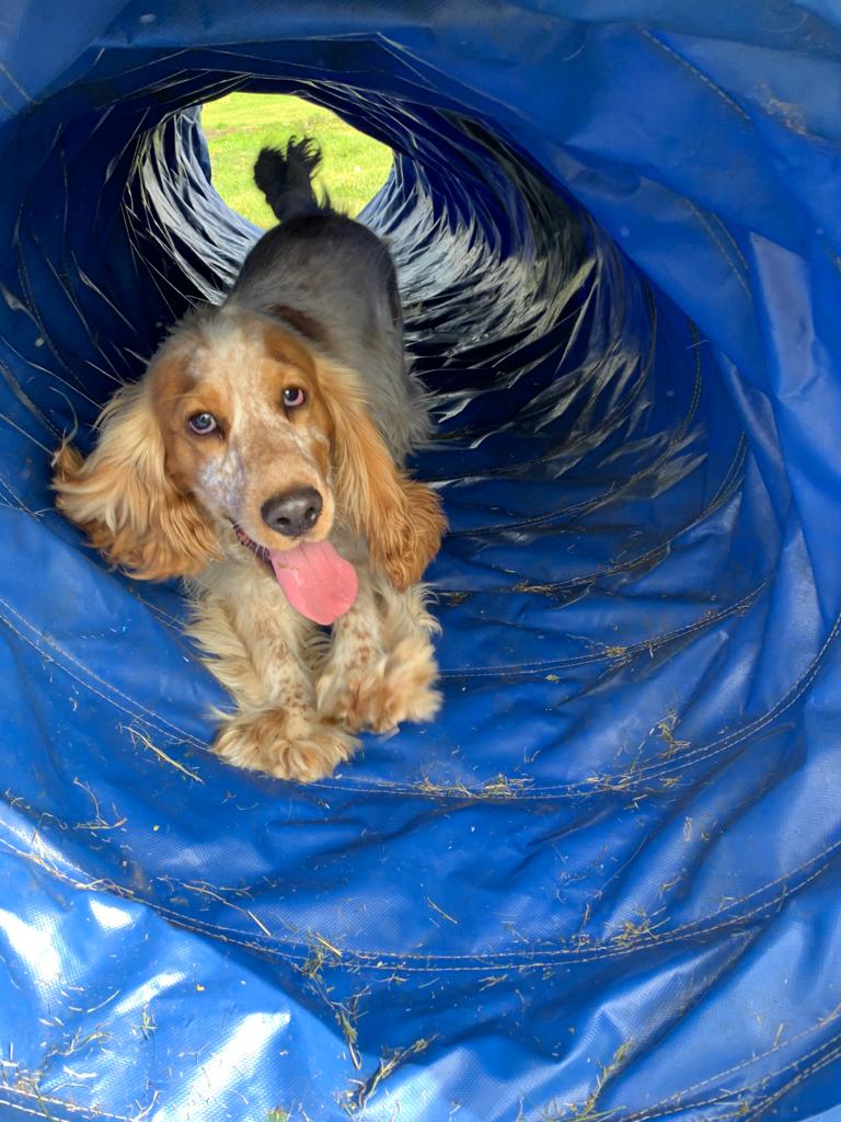 2178 b0a3c5ec1fcee4edef19aa99d549ec07 1