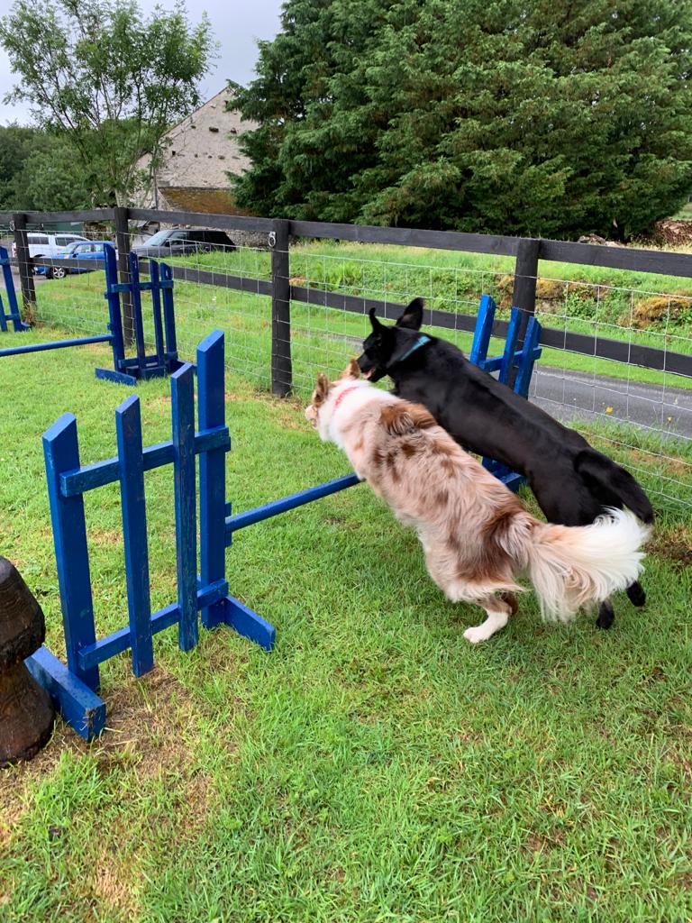 2178 da9111e12b7e4b0f4c1cd19f7dffbae6 1