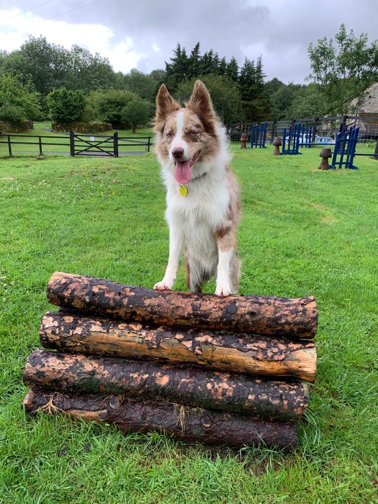 2178 dbf42ac2877618cef78e6754ee0003a1 1