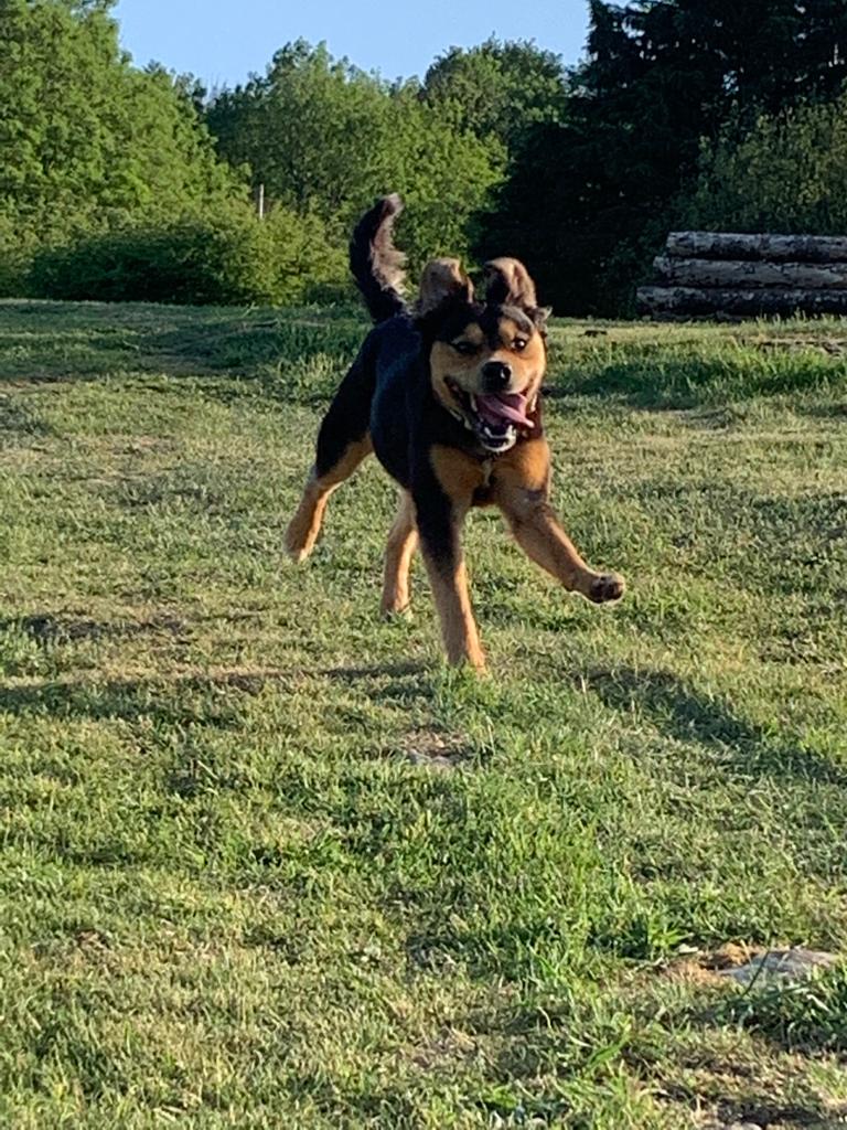 2178 efa6deedbe6c273bcc5f7339a1f85615 1