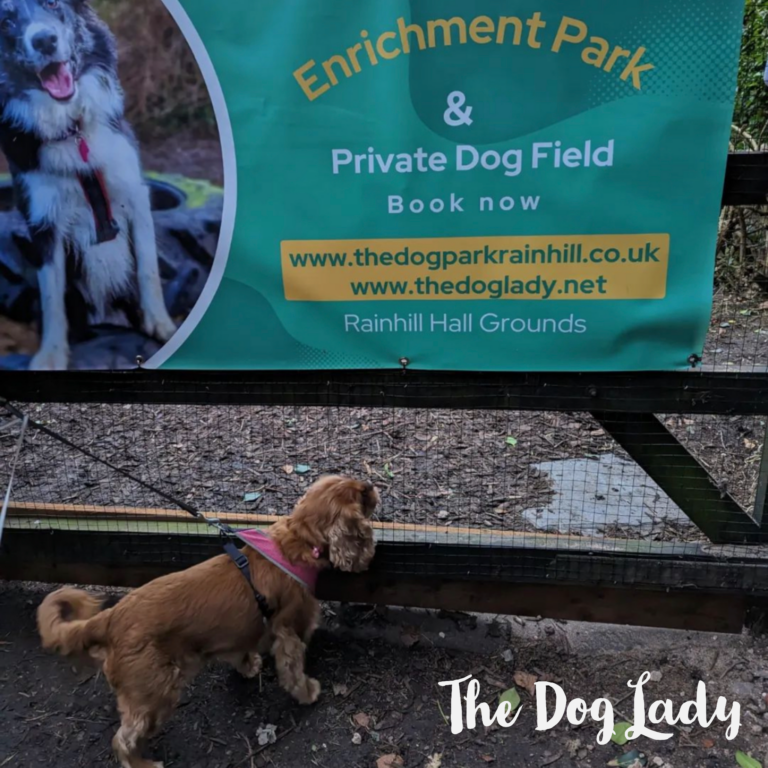 2180 26c1a261502ef548de852cabc3dd038a 1 768x768