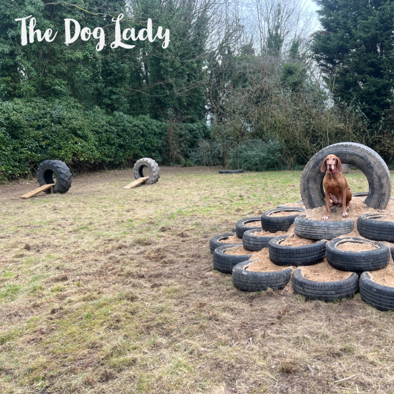 2180 37dd1e597c7888c9afb206e7f6504152 1 768x768