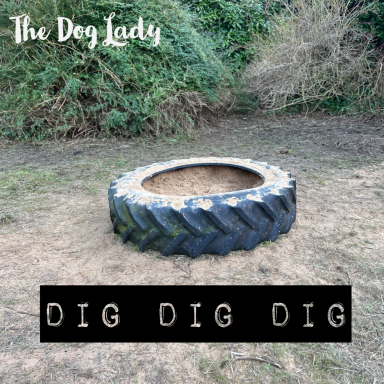 2180 9d35ac92543e74ac3fad48e077814d82 1 768x768