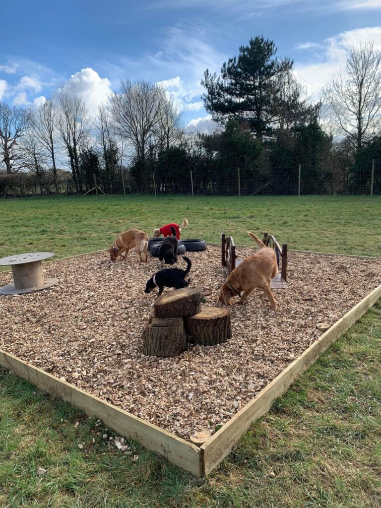 2183 06e8e8b30d81e349d90a7a36880fc123 1 768x1024